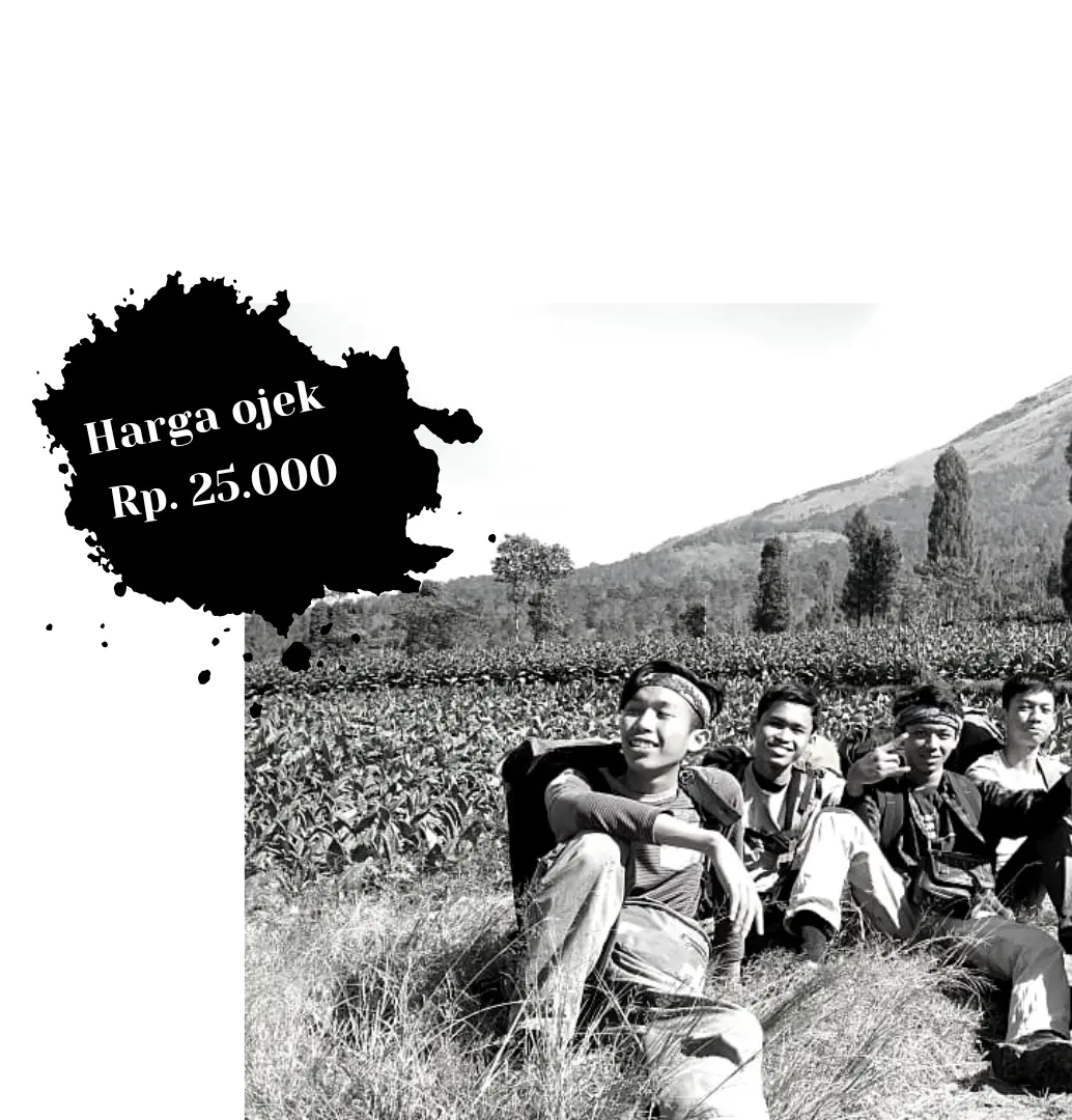 Foto galeri 2